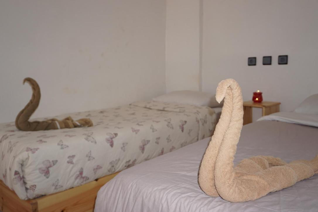 Hostel The Endless House Anchor Point Taghazout Bagian luar foto